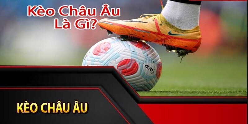 ảnh đại diện kèo châu Âu kubet